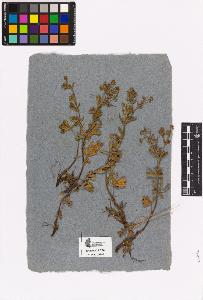 SW_BNB_s3090-02855_IMG-0000000001