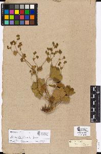 SW_BNB_s3090-03074_IMG-0000000001
