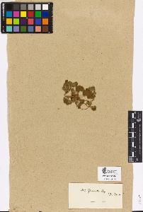 SW_BNB_s3090-03081_IMG-0000000001