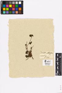 SW_BNB_s3090-03089_IMG-0000000001
