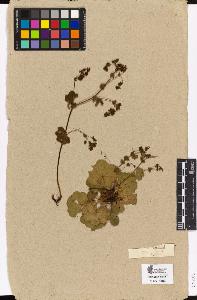 SW_BNB_s3090-03092_IMG-0000000001