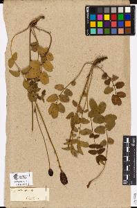 SW_BNB_s3090-03116_IMG-0000000001