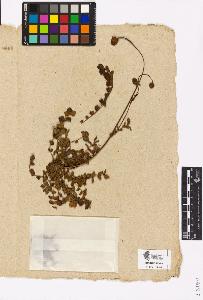 SW_BNB_s3090-03118_IMG-0000000001