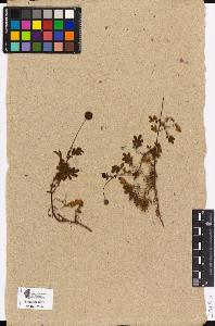 SW_BNB_s3090-03121_IMG-0000000001