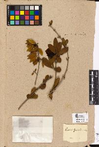 SW_BNB_s3090-03125_IMG-0000000001