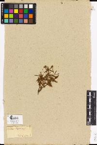 SW_BNB_s3090-03171_IMG-0000000001