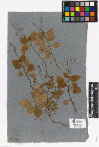 SW_BNB_s3090-03194_IMG-0000000001
