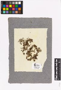 SW_BNB_s3090-03200_IMG-0000000001