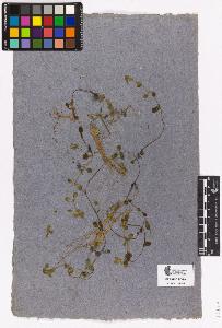 SW_BNB_s3090-03217_IMG-0000000001