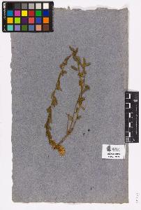 SW_BNB_s3090-03248_IMG-0000000001
