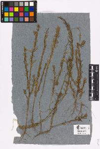 SW_BNB_s3090-03253_IMG-0000000001