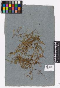 SW_BNB_s3090-03265_IMG-0000000001