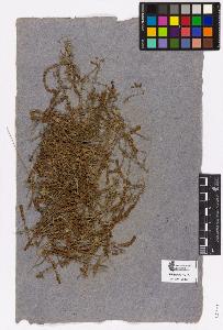 SW_BNB_s3090-03266_IMG-0000000001