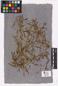 SW_BNB_s3090-03269_IMG-0000000001