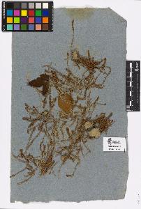 SW_BNB_s3090-03274_IMG-0000000001