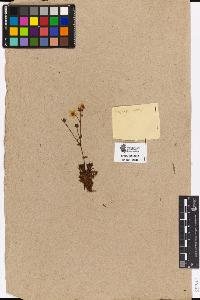 SW_BNB_s3090-03311_IMG-0000000001