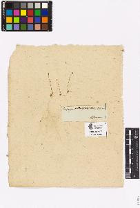 SW_BNB_s3090-03319_IMG-0000000001
