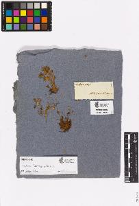 SW_BNB_s3090-03349_IMG-0000000001