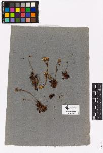 SW_BNB_s3090-03350_IMG-0000000001