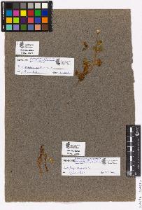 SW_BNB_s3090-03401_IMG-0000000001