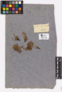 SW_BNB_s3090-03411_IMG-0000000001