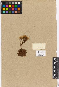 SW_BNB_s3090-03436_IMG-0000000001