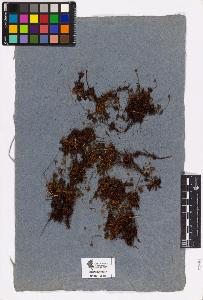 SW_BNB_s3090-03461_IMG-0000000001