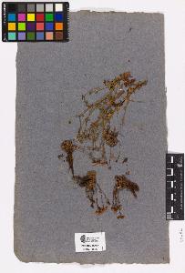 SW_BNB_s3090-03465_IMG-0000000001