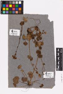 SW_BNB_s3090-03467_IMG-0000000001