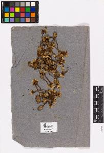 SW_BNB_s3090-03478_IMG-0000000001
