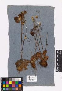 SW_BNB_s3090-03490_IMG-0000000001