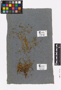 SW_BNB_s3090-03578_IMG-0000000001