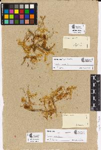 SW_BNB_s3090-03612_IMG-0000000001