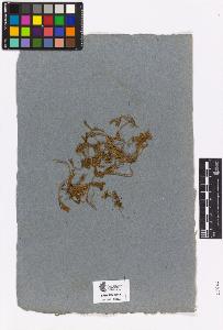 SW_BNB_s3090-03619_IMG-0000000001