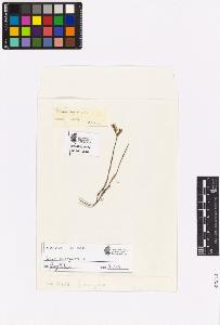 SW_BNB_s3090-03623_IMG-0000000001