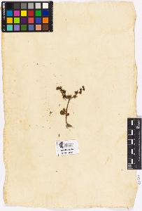 SW_BNB_s3090-03627_IMG-0000000001