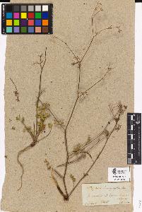 SW_BNB_s3090-03731_IMG-0000000001