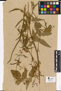 SW_BNB_s3090-03759_IMG-0000000001