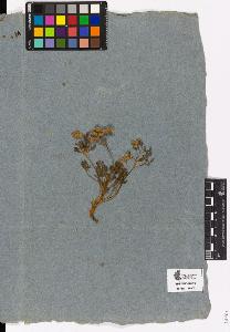 SW_BNB_s3090-03882_IMG-0000000001