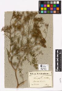 SW_BNB_s3090-04029_IMG-0000000001