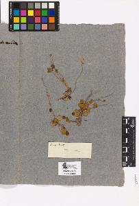 SW_BNB_s3090-04095_IMG-0000000001
