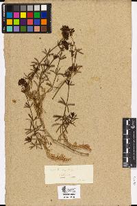 SW_BNB_s3090-04101_IMG-0000000001