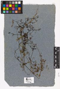 SW_BNB_s3090-04127_IMG-0000000001