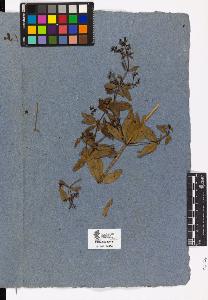 SW_BNB_s3090-04141_IMG-0000000001