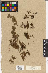 SW_BNB_s3090-04142_IMG-0000000001