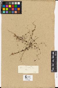 SW_BNB_s3090-04150_IMG-0000000001