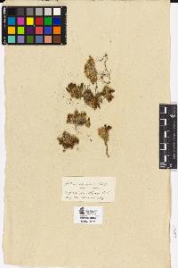 SW_BNB_s3090-04155_IMG-0000000001