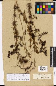 SW_BNB_s3090-04176_IMG-0000000001