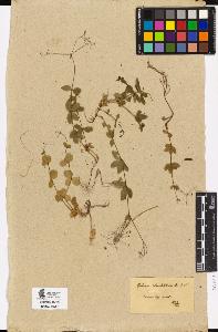 SW_BNB_s3090-04184_IMG-0000000001