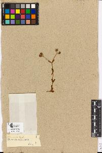 SW_BNB_s3090-04271_IMG-0000000001